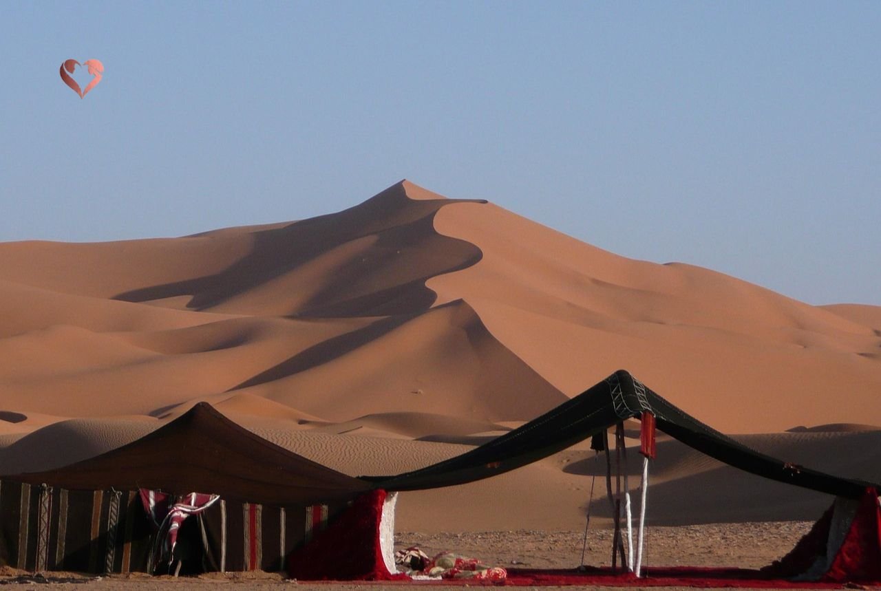 luxury desert safari dubai