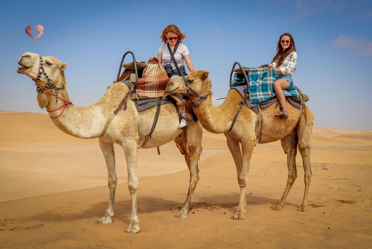 luxury desert safari dubai