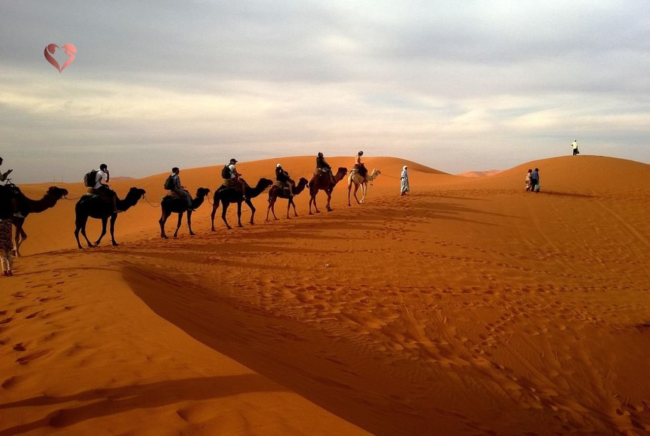 luxury desert safari dubai